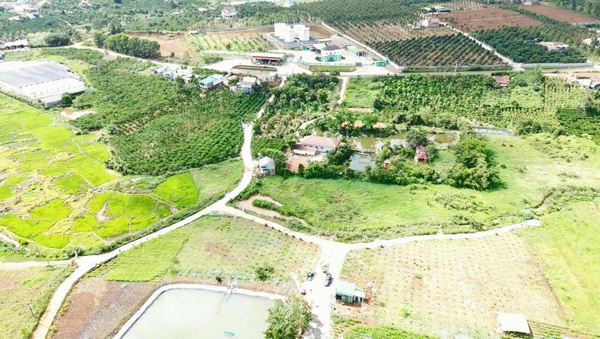 Mua bán đất Di Linh đường Ngô Quyền