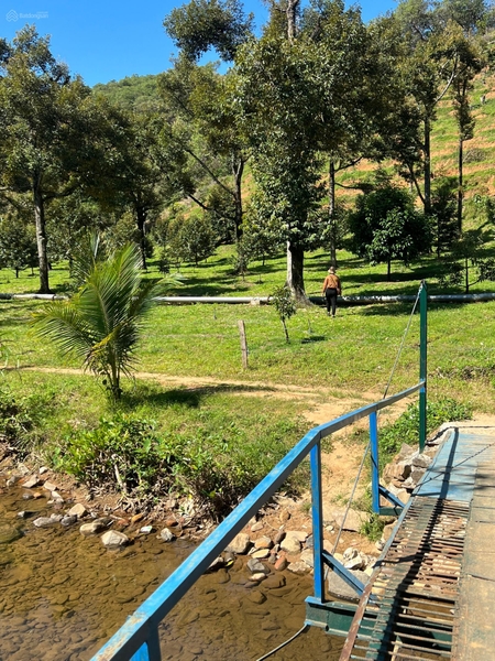 Mua bán đất thổ cư Đạ Huoai 1.3 sào vườn