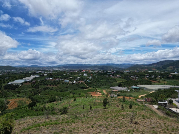 Đất Lâm hà tại Đông Thanh giá ngộp