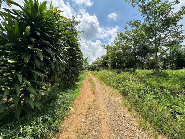 Bán đất Lâm hà ven Đà Lạt