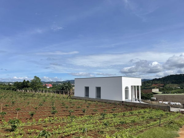 Đất Nền Đà Lạt Gần Trung Tâm