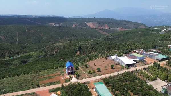 Mua nhà tại đất Di Linh