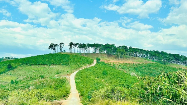 Bán đất Di Linh tại đường 28