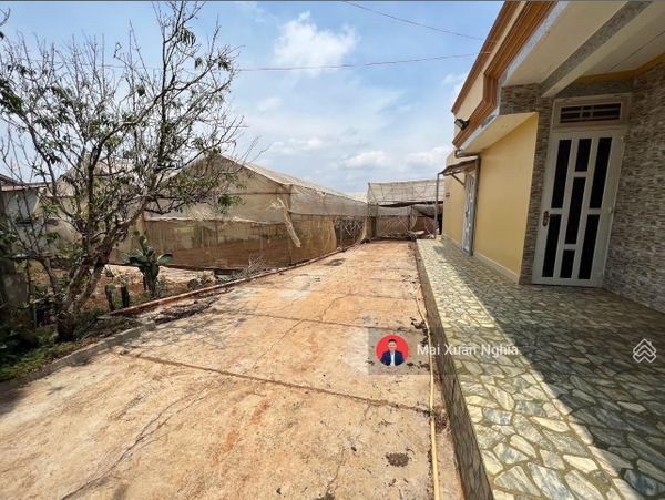 Mua đất Đơn Dương tại Suối Thông B