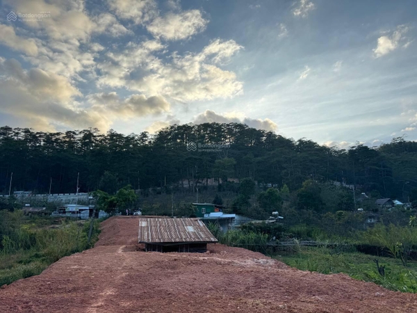 Bán đất Đà Lạt Phường 3 giá tốt