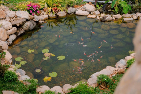 Bán đất nền tại khu biệt lập view săn mây