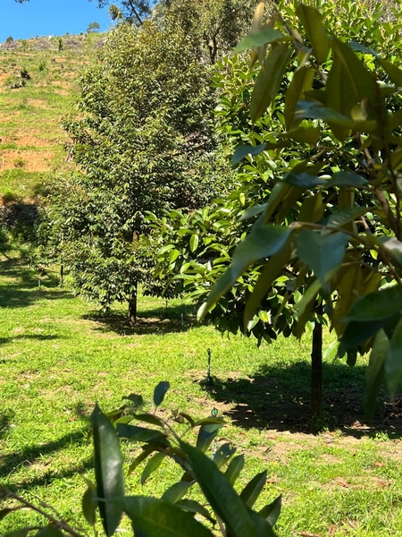 Mua bán đất thổ cư Đạ Huoai 1.3 sào vườn