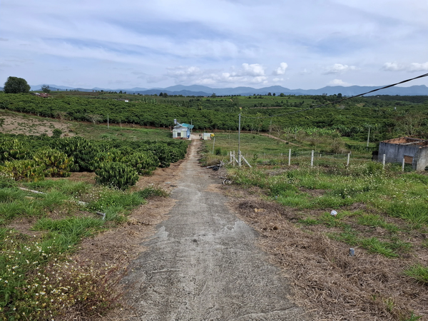 Bán đất Lâm Đồng tại Lộc An view đồi núi