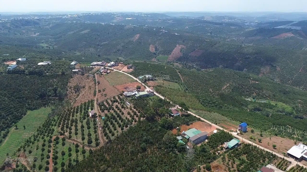 Mua nhà tại đất Di Linh