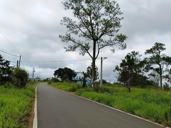 Mua đất Bảo Lộc tại Tô Hiến Thành