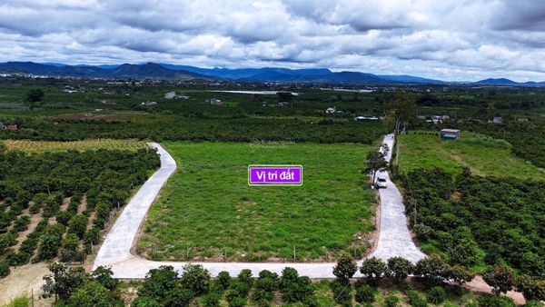 Bán đất Lâm Hà xã Tân Văn giá tốt