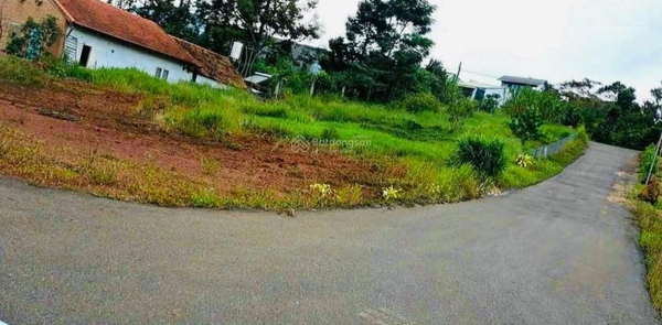 Mua bán đất Di Linh mặt tiền đường