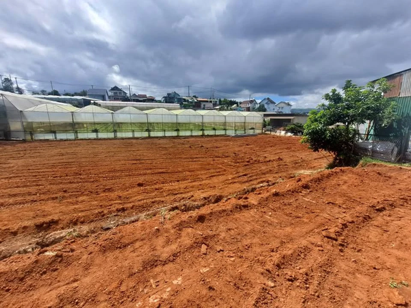 Bán đất Đà Lạt tại Xuân Thọ mặt tiền