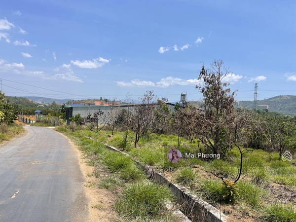 Bán đất Bảo Lâm xã Lộc Nam giá ngộp