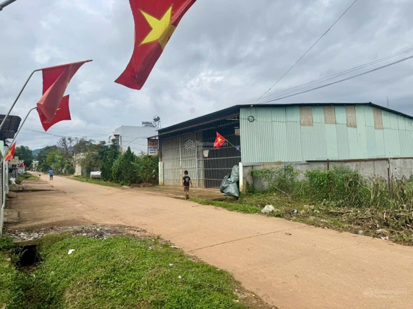 Mua đất Đà Lạt tại Tà Nung giá ngộp