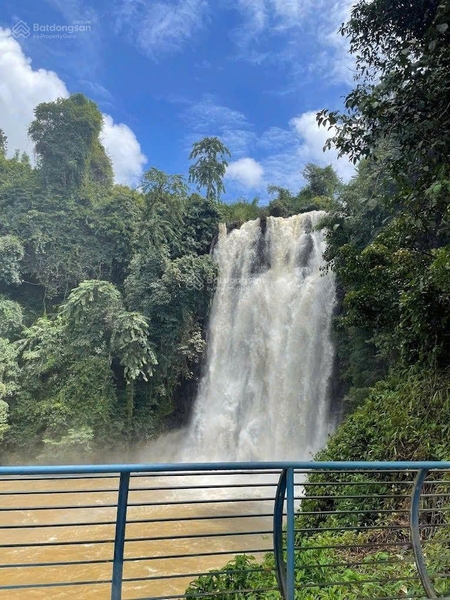 Bán đất Di Linh gần chợ