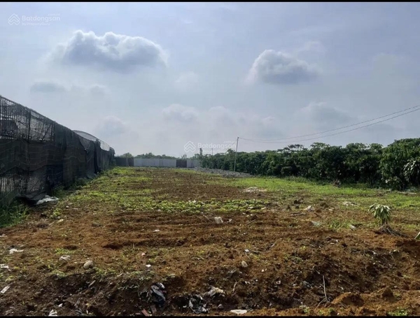 Đất nền Bảo Lộc xã Lộc Nga chính chỉ 2 mặt tiền