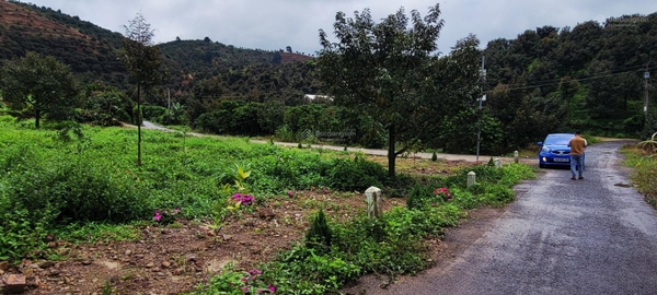 Bán đất Lâm Đồng giá rẻ tại Tân Lạc