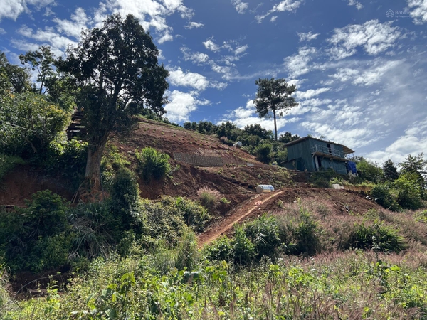 Mua bán đất Đà Lạt tại xã Xuân Trường