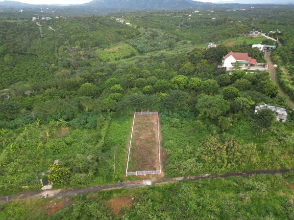 BÁN GẤP ĐẤT THỔ CƯ BẢO LỘC 350M2 (10x35) - ĐÃ CÓ SỔ - THẾ ĐẤT CAO - GIÁ CẮT LỖ SÂU