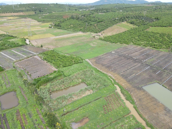 Bán đất Di Linh tại Ngô Quyền
