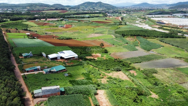 Mua bán đất Đơn Dương tại xã Tu Tra