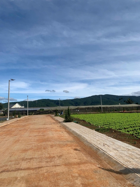 Mua bán đất Đơn Dương đường 2/4