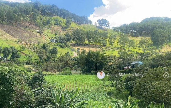 Đất nền Đức Trọng tại Định An giá tốt