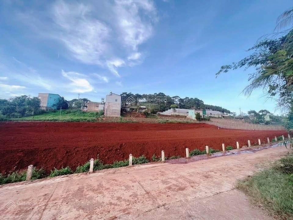 Mua bán đất Đơn Dương xã Quảng Lập