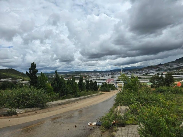 Mua bán đất Lạc Dương lô biệt thự