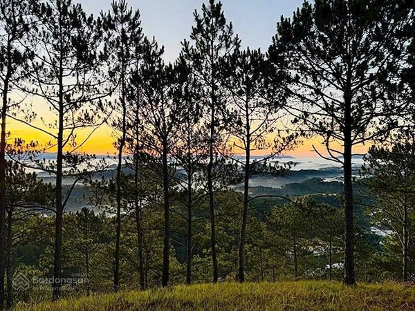 Mua bán đất Đà Lạt tại Xuân Thọ