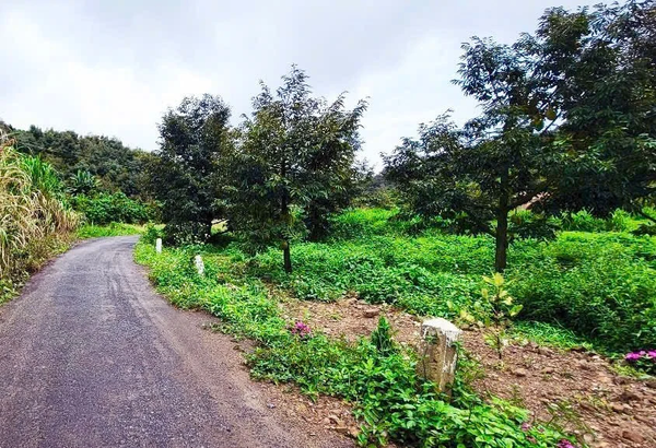 Bán đất Lâm Đồng tại xã Tân Lạc