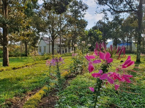 Bán đất vườn Bảo Lâm tại Lộc Thành view đồi săn mây đẹp