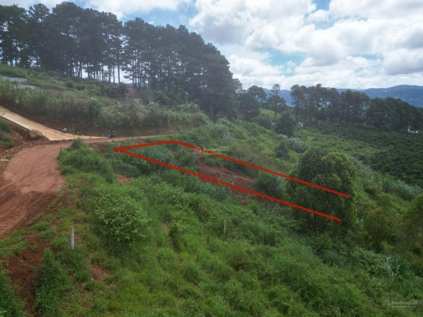 Mua đất nền Lâm Hà xã Đông Thanh giá ngộp