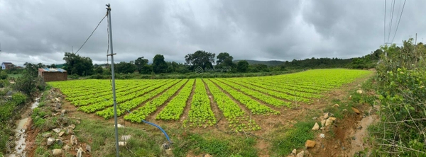 Mua bán Đông Dương xã Tu Tra giá tốt