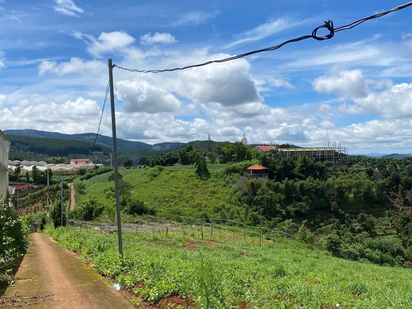 Bán đất Đà Lạt tại Tà Nung view đồi săn mây