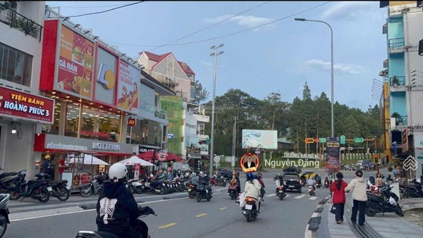 Bán biệt thự Đà Lạt tại Lý Nam Đế