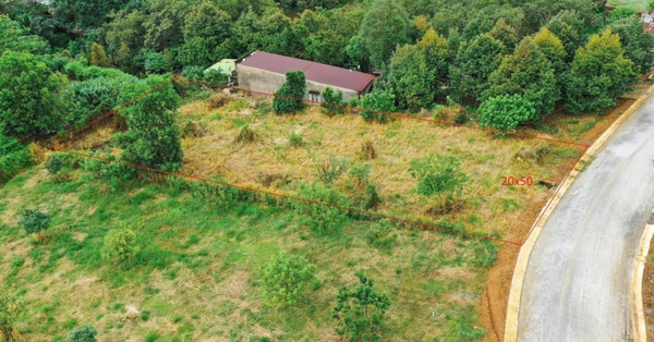 Mua bán đất Đạ Huoai đường Nguyễn Bỉnh Khiêm