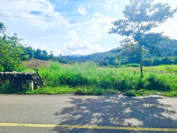 Bán đất Lâm Đồng tại Tân Lạc nằm ngay mặt tiền đường nhà nước