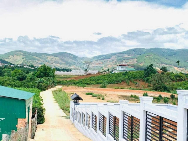 Mua đất Đà Lạt tại Hai Bà Trưng