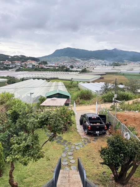 Mua bán đất Đà Lạt tại Phước Thành