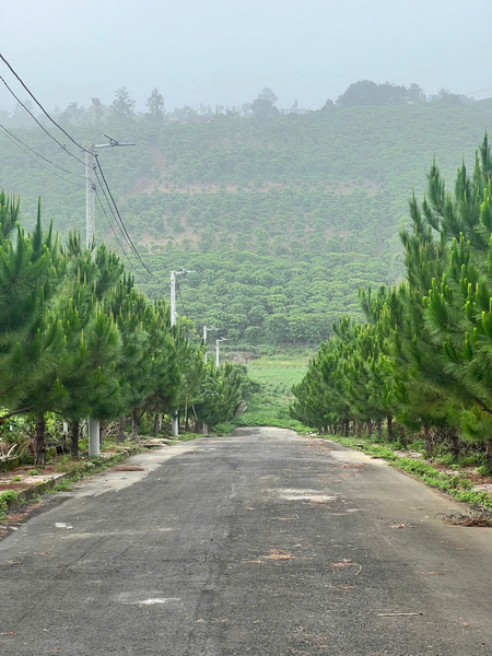 Bán đất vườn Bảo Lâm tại Lộc Quảng view hồ