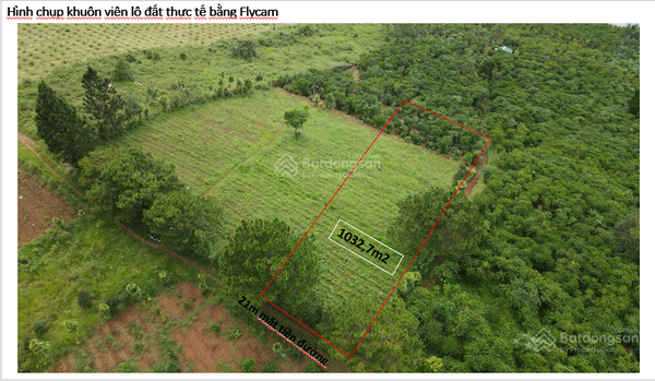 Bán đất Bảo Lâm xã Lộc Tân vuông vức