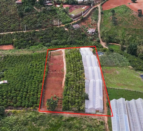 Bán đất Đà Lạt tại Tà Nung view đồi săn mây
