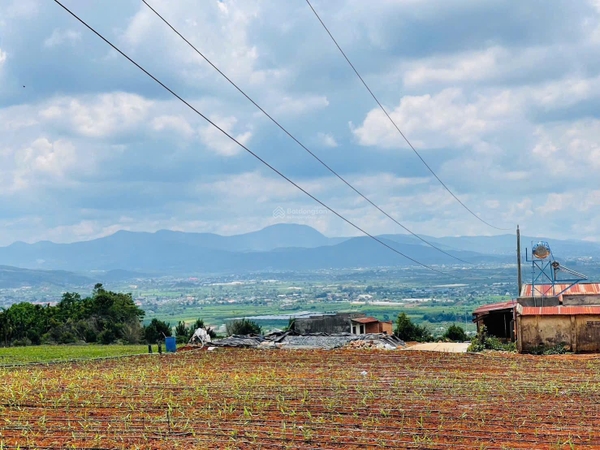 Đất Lâm Hà đường Tân Văn chính chủ