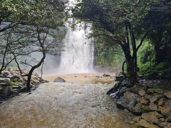 Bán đất Di Linh gần chợ