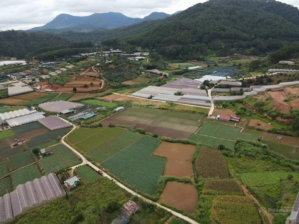 Bán đất Đà Lạt đường Bạch Đằng