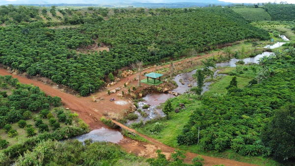 Bán đất Lâm Đồng tại thị trấn Lộc Thắng có suối