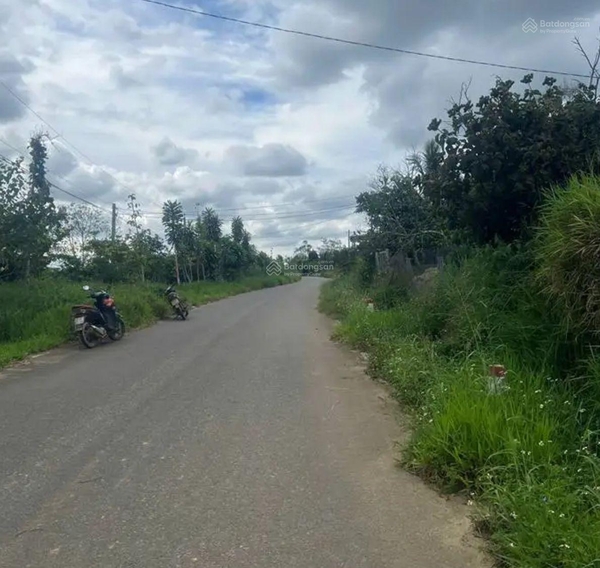 Mua bán đất Di Linh xã Hòa Bắc