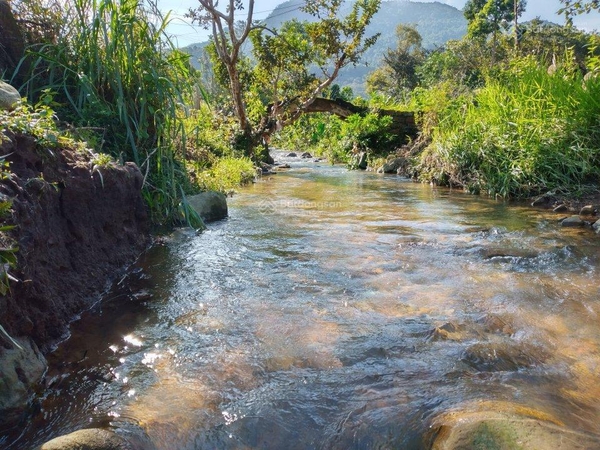 Mua đất nền Đạ Huoai chân đèo